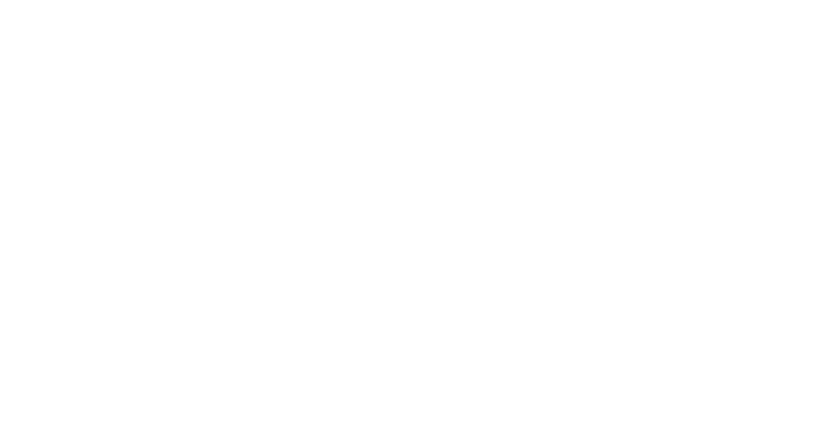 logo punch